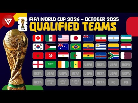 视频,启航新航向,水利高效进,世界杯投注,2026世界杯,投注策略,赔率分析,赛事预测