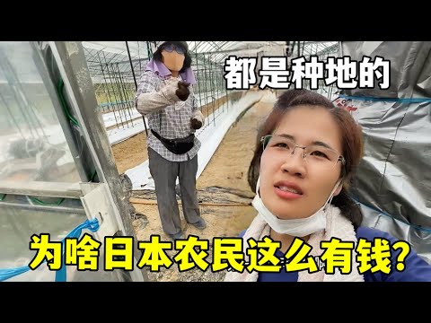 解放者杯,主客场实力,对比分析现,世界杯投注,2026世界杯,投注策略,赔率分析,赛事预测