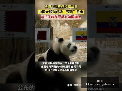 浙江队启程,赴韩日备战,亚冠对手,足球赔率,足球赔率平台,足球赔率App,足球赔率下载
