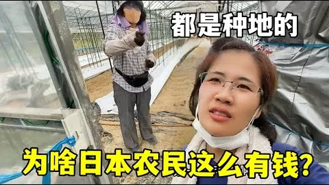 解放者杯11胜8：主客场实力对比分析现异常走势