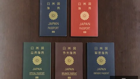 萨利巴被比作后卫版贝林，贝尔塔将探讨续约协商。